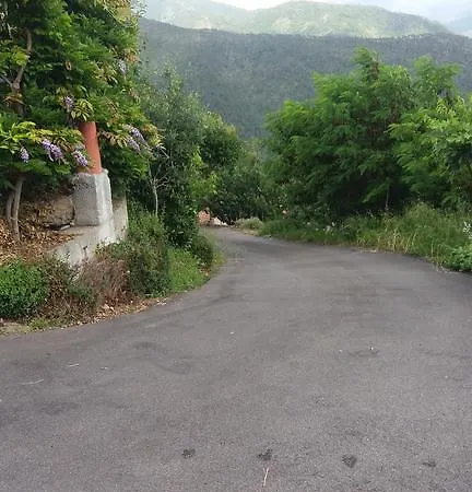 Daire Olivella Caminata N 41g