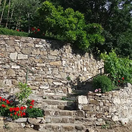 Olivella Caminata N 41g Daire