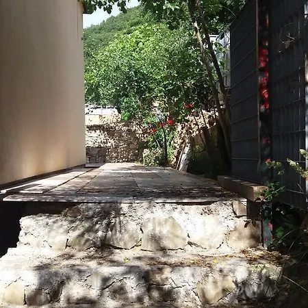 Olivella Caminata N 41g Casarza Ligure