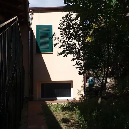 Olivella Caminata N 41g *