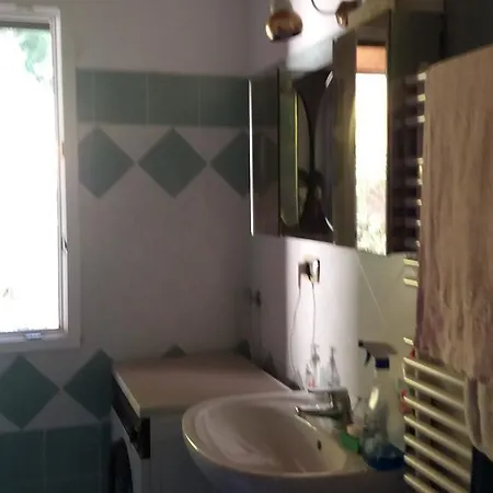 Olivella Caminata N 41g *