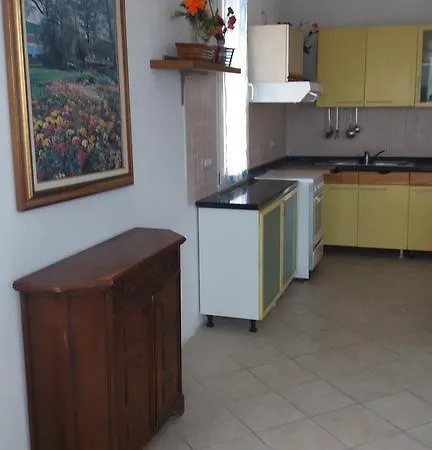 Olivella Caminata N 41g Daire Casarza Ligure