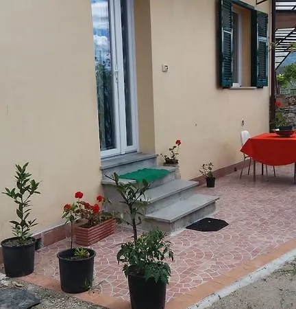 Olivella Caminata N 41g *