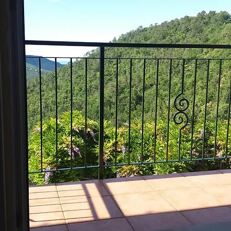 Daire Olivella Caminata N 41g *