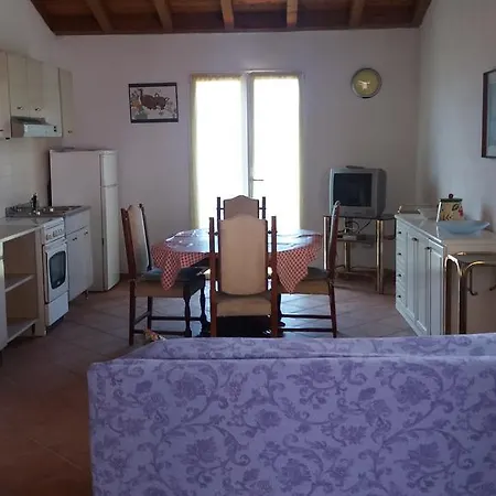 Olivella Caminata N 41g *