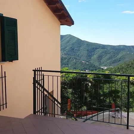 Daire Olivella Caminata N 41g