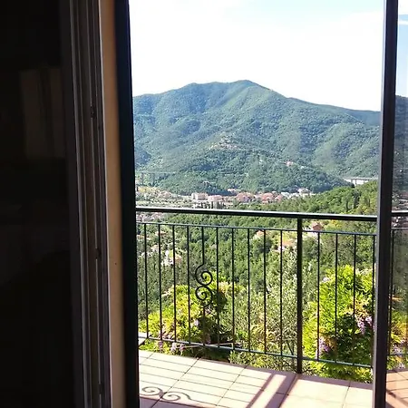 Olivella Caminata N 41g