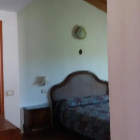 Olivella Caminata N 41g * Casarza Ligure