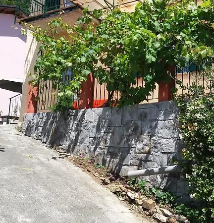 Daire Olivella Caminata N 41g