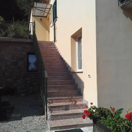 Olivella Caminata N 41g * Casarza Ligure