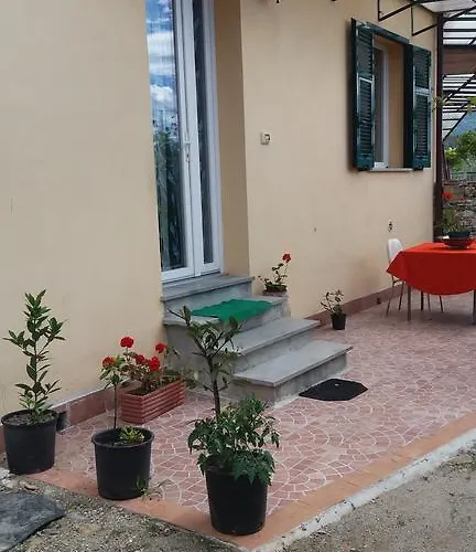 Olivella Caminata N 41g *