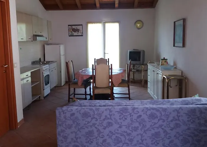 Olivella Caminata N 41g *